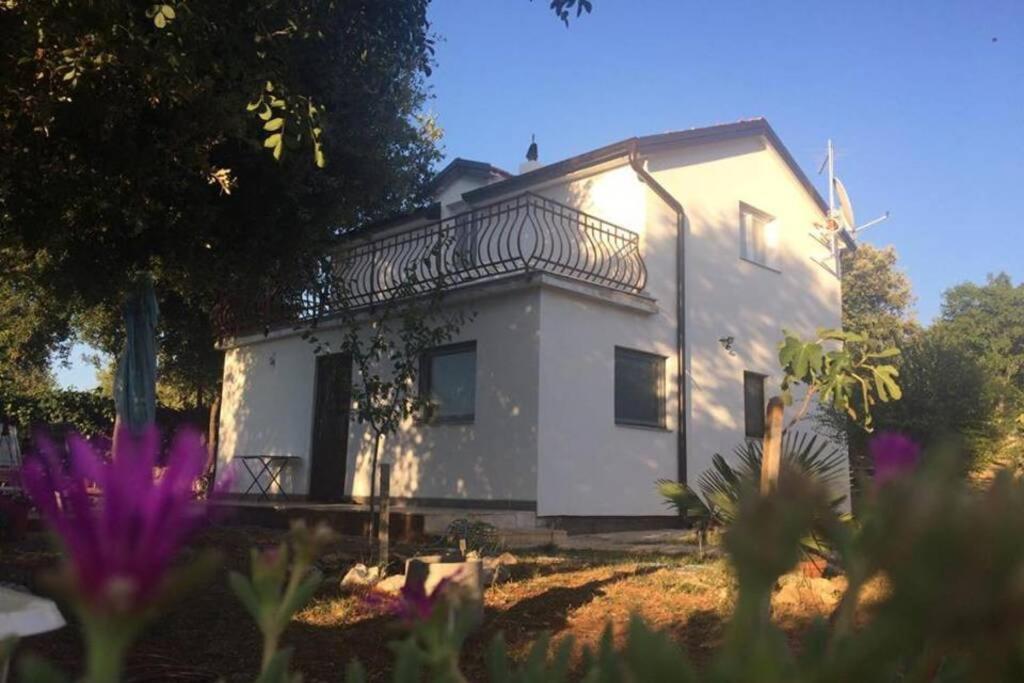 Viva 1 Rovinj Apartment Екстериор снимка
