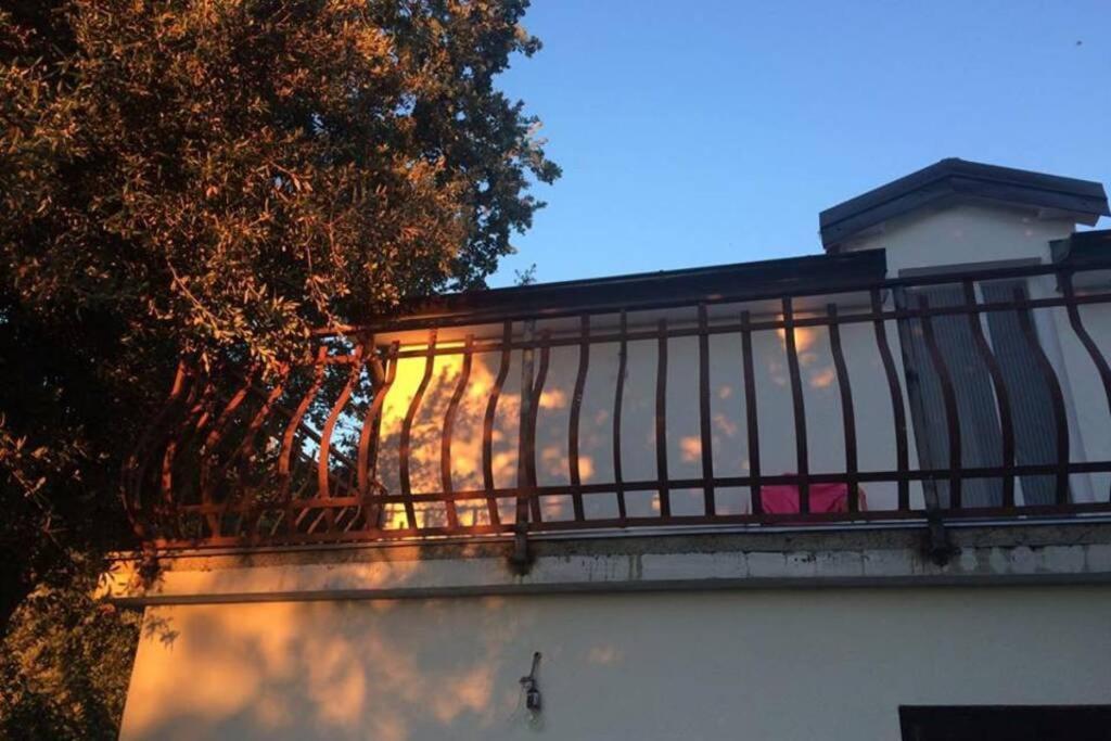 Viva 1 Rovinj Apartment Екстериор снимка