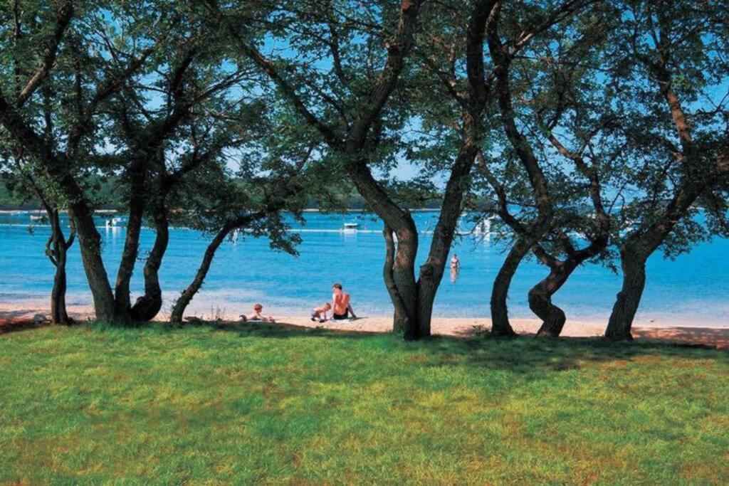 Viva 1 Rovinj Apartment Екстериор снимка