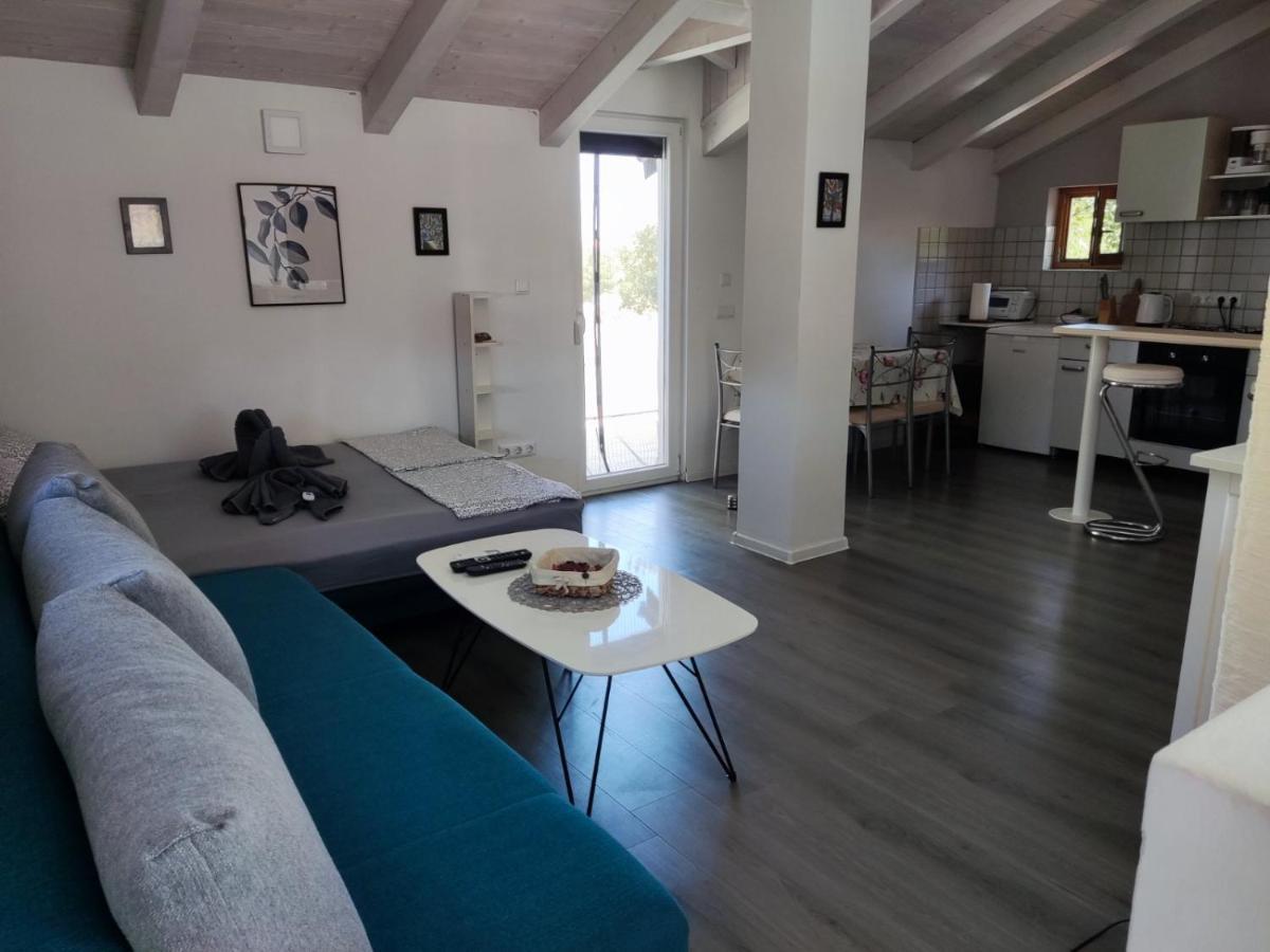 Viva 1 Rovinj Apartment Екстериор снимка